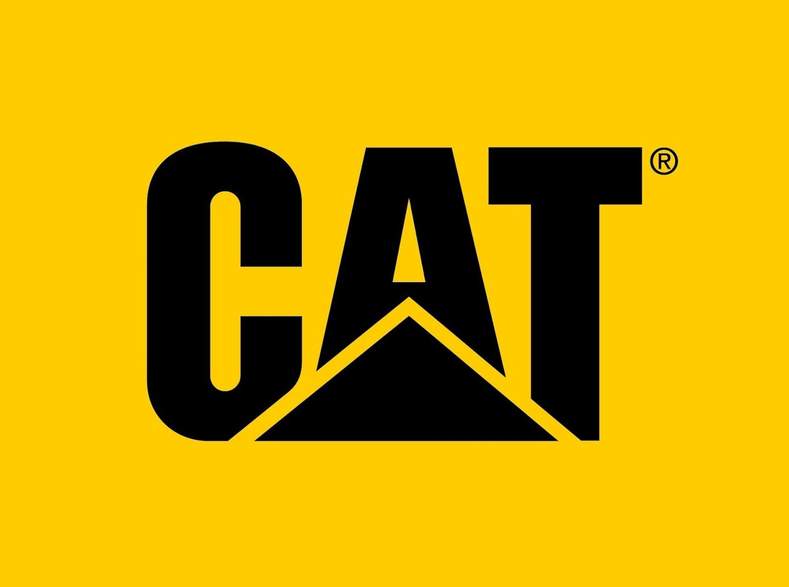 caterpillar de securite