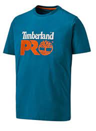 T-SHIRT TIMBERLAND A4QT2