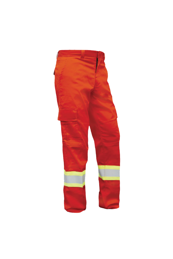 Safety 2025 cargo pants