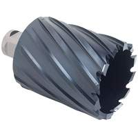 Fraise annulaire ICECUTMC, Diamètre de 1-3/4", Chrome-aluminium, Profondeur de la coupe de 1", Tige 3/4" TCO429