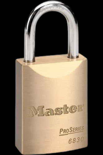 Cadenas en laiton massif Master Lock Pro Series(MD) (recléables)
