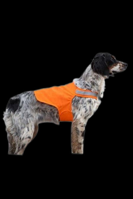 Dossard orange pour chien 87-DOG
